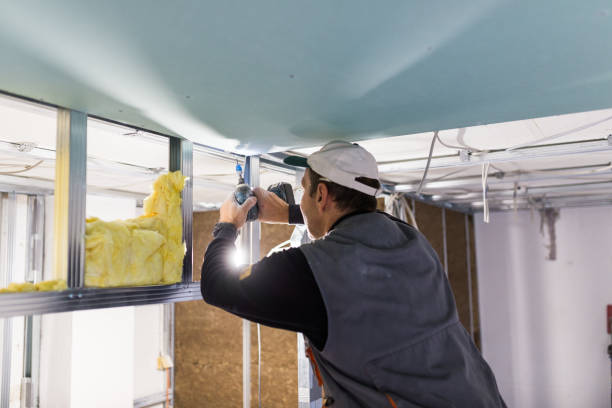 Best Geographic-Specific Insulation Services in Manassas, VA